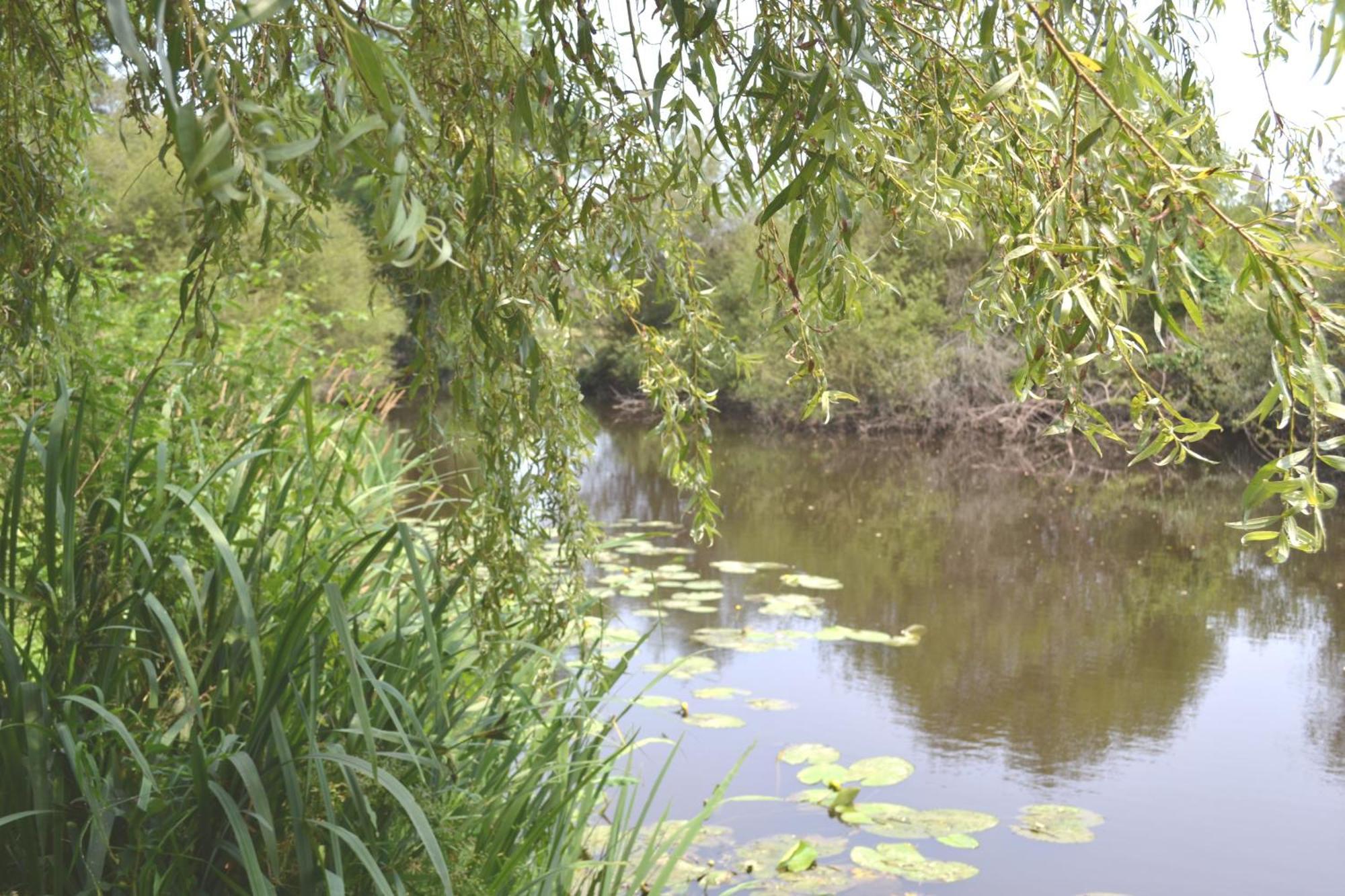 Les Bruyeres B&B Montbron Kültér fotó